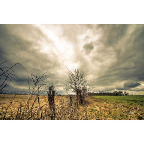 Storm Season II Black Modern Wood Framed Art Print by Quillen, Donnie
