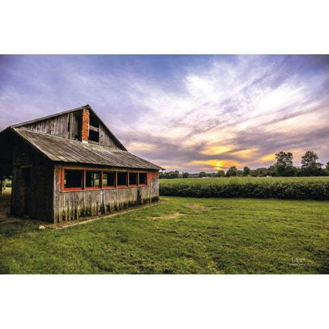 A Summer Sunset I Black Modern Wood Framed Art Print by Quillen, Donnie