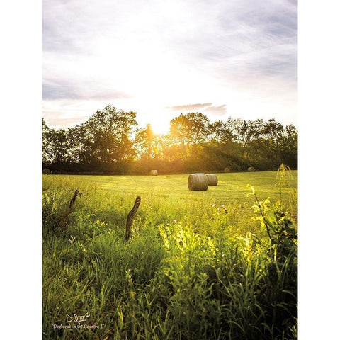 Daybreak in the Country I Gold Ornate Wood Framed Art Print with Double Matting by Quillen, Donnie