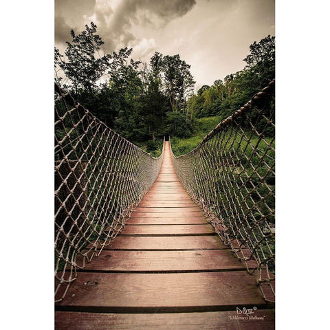 Wilderness Walkway Black Modern Wood Framed Art Print with Double Matting by Quillen, Donnie