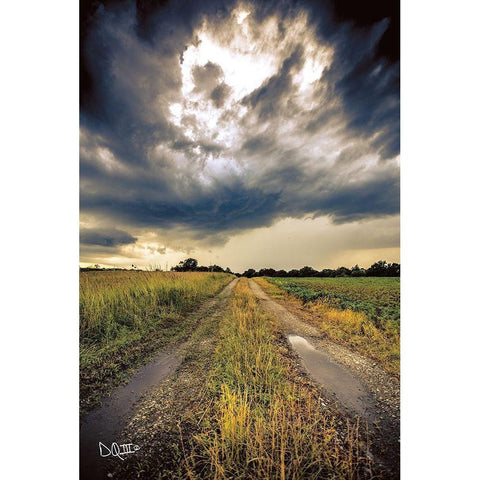 Embrace the Storm I Black Modern Wood Framed Art Print with Double Matting by Quillen, Donnie