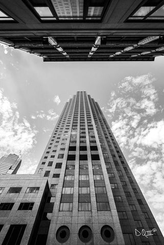 Looking Up White Modern Wood Framed Art Print with Double Matting by Quillen, Donnie