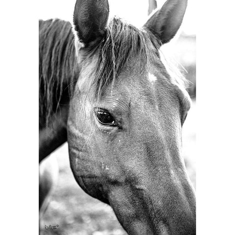 Trophy Winner II   Black Modern Wood Framed Art Print by Quillen, Donnie