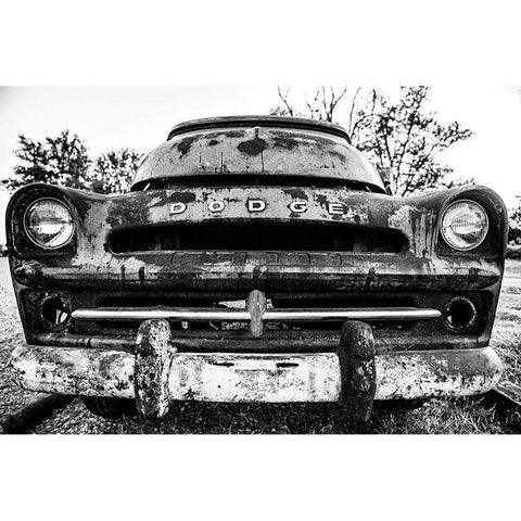 Rust Covered    Black Modern Wood Framed Art Print with Double Matting by Quillen, Donnie