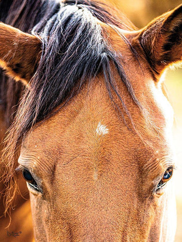 Soft Brown White Modern Wood Framed Art Print with Double Matting by Quillen, Donnie