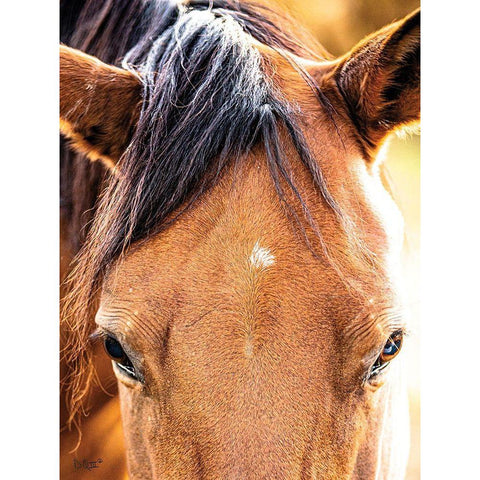 Soft Brown Black Modern Wood Framed Art Print by Quillen, Donnie