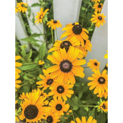 Bed of Yellow Black Modern Wood Framed Art Print by Quillen, Donnie