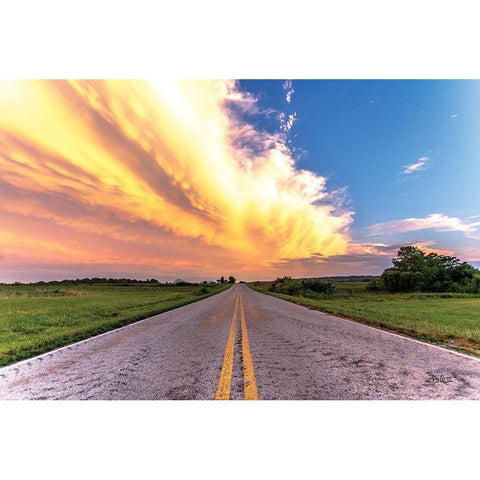 Road Less Traveled Gold Ornate Wood Framed Art Print with Double Matting by Quillen, Donnie
