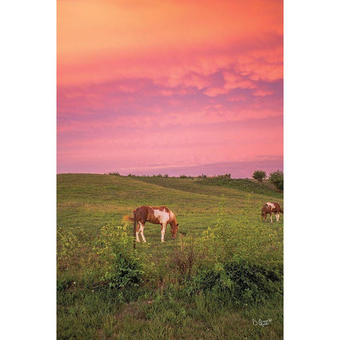 Horse at Sunset  Black Modern Wood Framed Art Print by Quillen, Donnie
