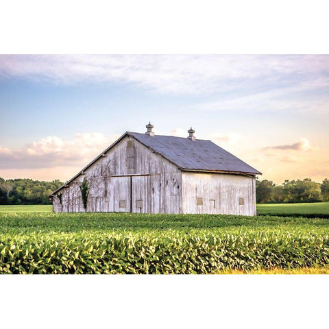 Rural Ohio Barn Gold Ornate Wood Framed Art Print with Double Matting by Quillen, Donnie