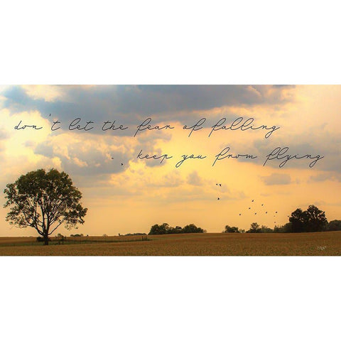 Fear of Falling White Modern Wood Framed Art Print by Quillen, Donnie