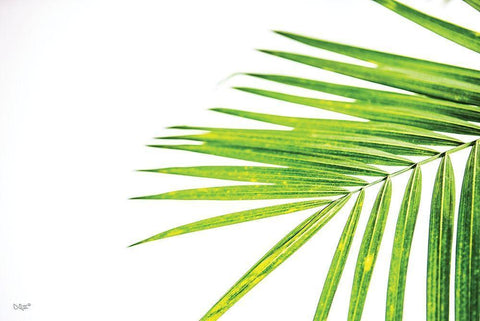 Leaf Study III White Modern Wood Framed Art Print with Double Matting by Quillen, Donnie