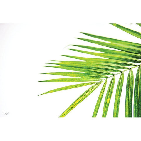 Leaf Study III White Modern Wood Framed Art Print by Quillen, Donnie