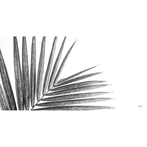 Leaf Study IV Black Modern Wood Framed Art Print by Quillen, Donnie