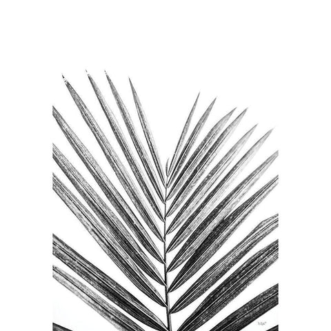 Leaf Study V Gold Ornate Wood Framed Art Print with Double Matting by Quillen, Donnie