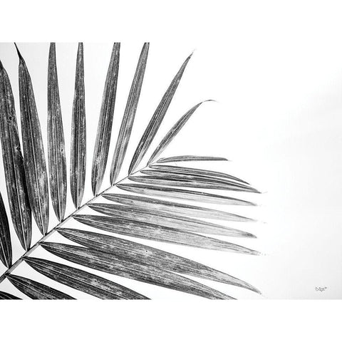 Leaf Study VI White Modern Wood Framed Art Print by Quillen, Donnie