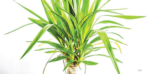 Leafy Days White Modern Wood Framed Art Print with Double Matting by Quillen, Donnie