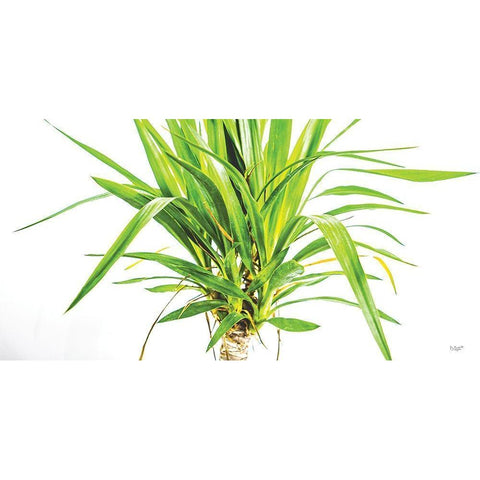 Leafy Days Gold Ornate Wood Framed Art Print with Double Matting by Quillen, Donnie