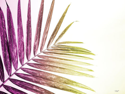 Rainbow Leaf Black Ornate Wood Framed Art Print with Double Matting by Quillen, Donnie