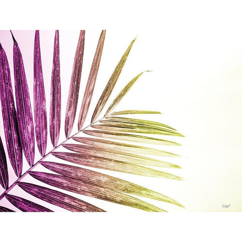 Rainbow Leaf White Modern Wood Framed Art Print by Quillen, Donnie