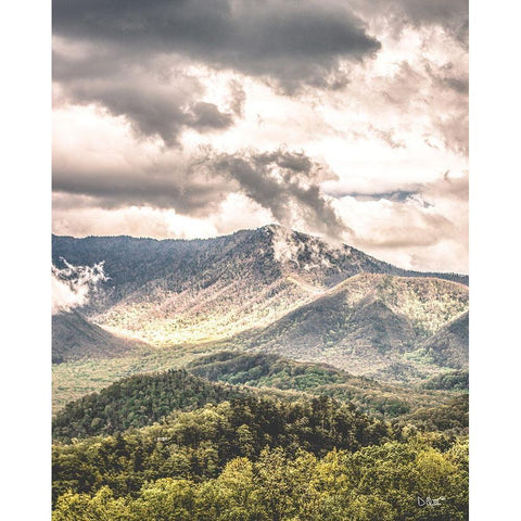 After the Storm Black Modern Wood Framed Art Print with Double Matting by Quillen, Donnie