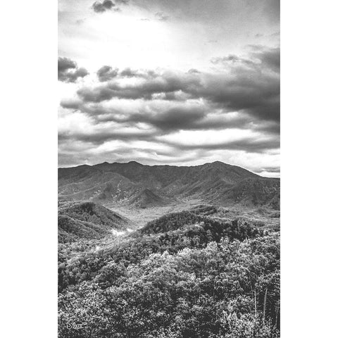 Mountain View Black Modern Wood Framed Art Print by Quillen, Donnie