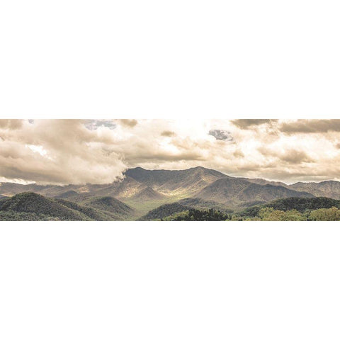 Before the Storm White Modern Wood Framed Art Print by Quillen, Donnie