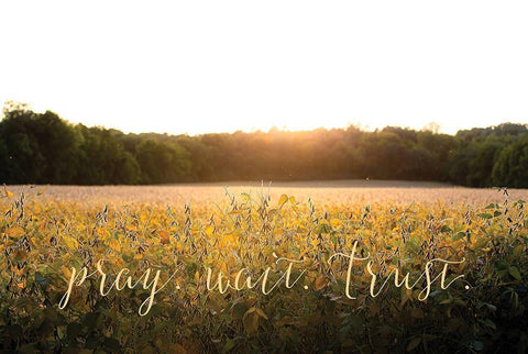 Pray-Wait-Trust Black Ornate Wood Framed Art Print with Double Matting by Quillen, Donnie