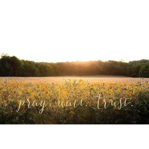 Pray-Wait-Trust White Modern Wood Framed Art Print by Quillen, Donnie