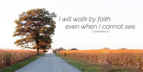 I Will Walk by Faith White Modern Wood Framed Art Print with Double Matting by Quillen, Donnie