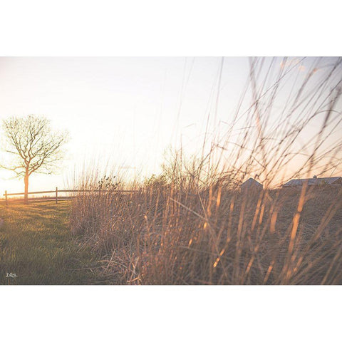 Bright Sun Haze IV White Modern Wood Framed Art Print by Quillen, Donnie