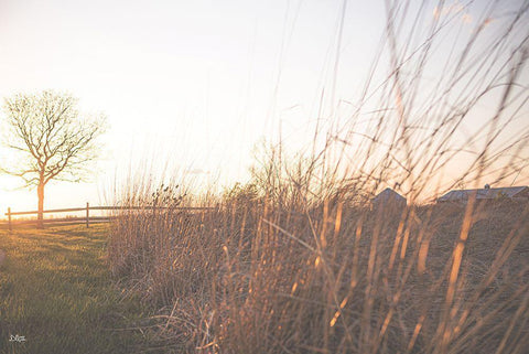 Bright Sun Haze IV White Modern Wood Framed Art Print with Double Matting by Quillen, Donnie