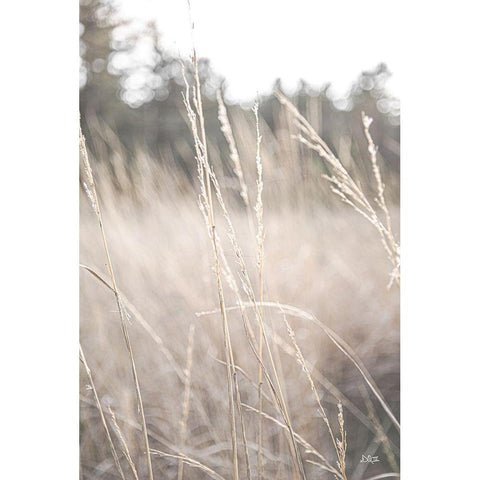 Field of Dreams I Gold Ornate Wood Framed Art Print with Double Matting by Quillen, Donnie