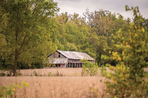 Barn in the Country II Black Ornate Wood Framed Art Print with Double Matting by Quillen, Donnie