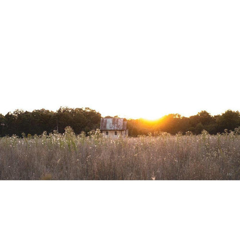 Field Find  Gold Ornate Wood Framed Art Print with Double Matting by Quillen, Donnie