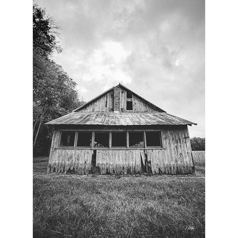 Seen Better Days  Black Modern Wood Framed Art Print with Double Matting by Quillen, Donnie