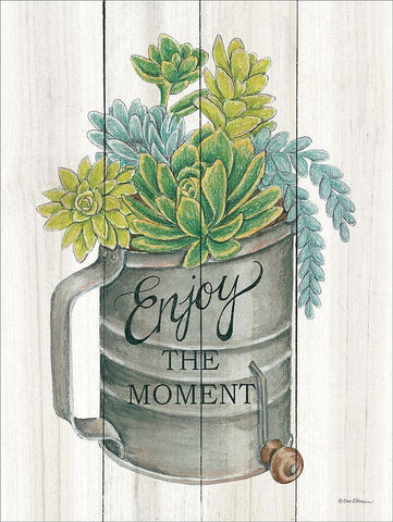 Enjoy the Moment Succulents White Modern Wood Framed Art Print with Double Matting by Strain, Deb