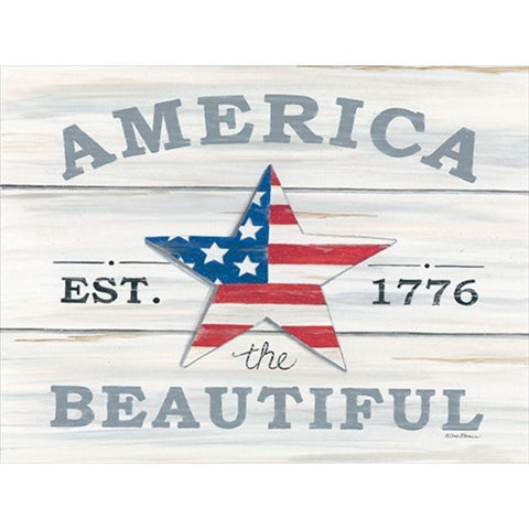 America the Beautiful Star Black Modern Wood Framed Art Print with Double Matting by Strain, Deb