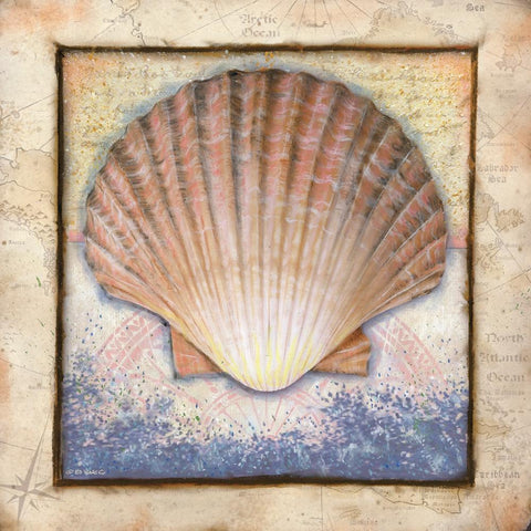 Shell White Modern Wood Framed Art Print with Double Matting by Wargo, Ed