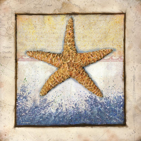Starfish Gold Ornate Wood Framed Art Print with Double Matting by Wargo, Ed