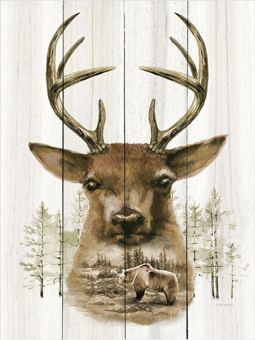 Deer Wilderness Portrait White Modern Wood Framed Art Print with Double Matting by Wargo, Ed
