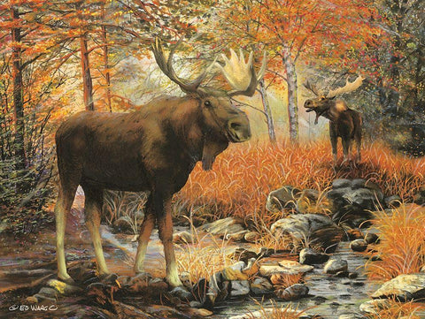 Call of the Wild Black Ornate Wood Framed Art Print with Double Matting by Wargo, Ed