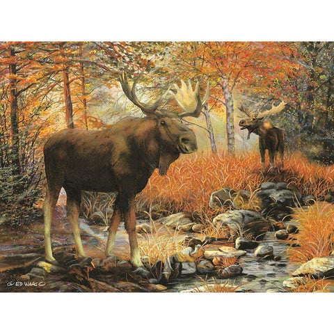 Call of the Wild Black Modern Wood Framed Art Print by Wargo, Ed