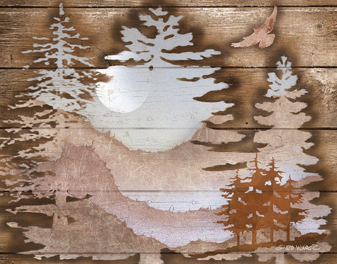 Great Outdoors II White Modern Wood Framed Art Print with Double Matting by Wargo, Ed