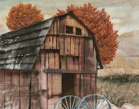 Country Barn I Black Ornate Wood Framed Art Print with Double Matting by Wargo, Ed