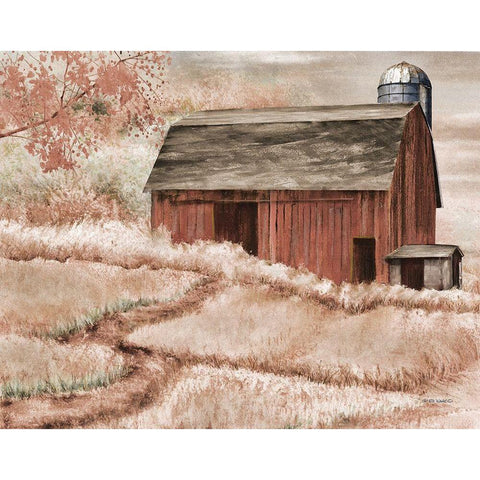 Country Barn II Black Modern Wood Framed Art Print with Double Matting by Wargo, Ed