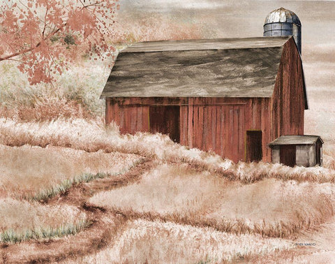 Country Barn II White Modern Wood Framed Art Print with Double Matting by Wargo, Ed