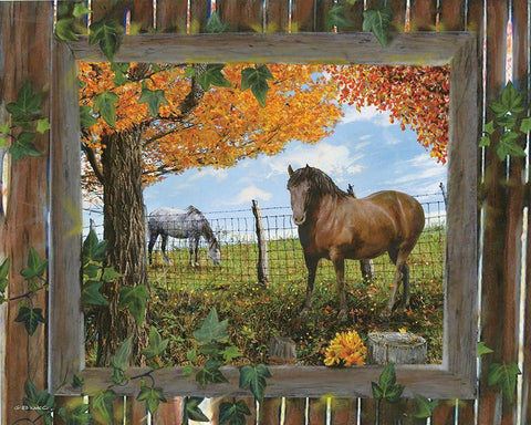 Barn View II White Modern Wood Framed Art Print with Double Matting by Wargo, Ed