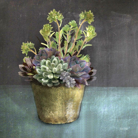 Succulents Black Modern Wood Framed Art Print by House Fenway