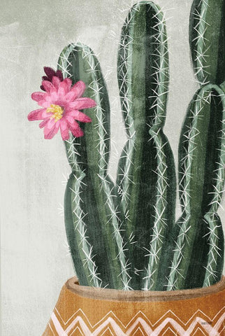 Flowering Cactus White Modern Wood Framed Art Print with Double Matting by House Fenway
